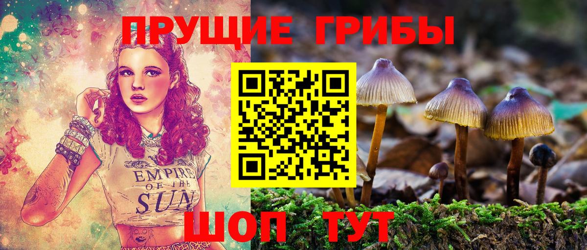 Псилоцибиновые грибы Psilocybe  Галлюциногенные грибы мухоморы  Учалы  Вход с VPN 